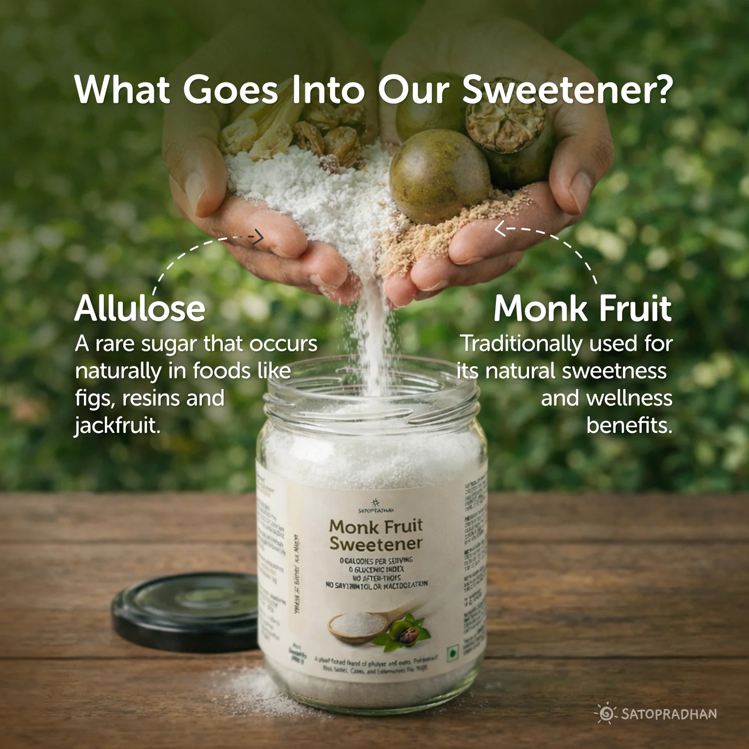 Preview-7IngredientsofMonkFruitSweetener_3363d86f-ed25-4154-989b-0ab40980b528_1500x1500